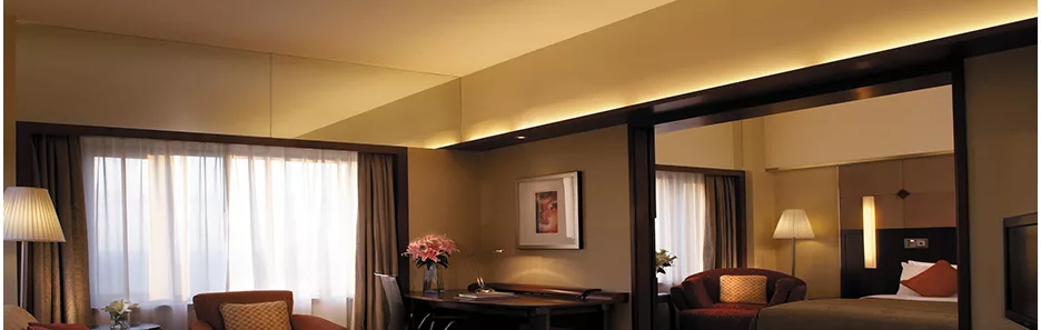 Philips LED Strips